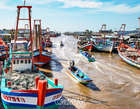 Làng biển vào mùa