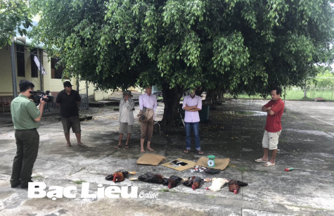 Công an Bạc Liêu: Liên tiếp lập chiến công trong cao điểm trấn áp tội phạm