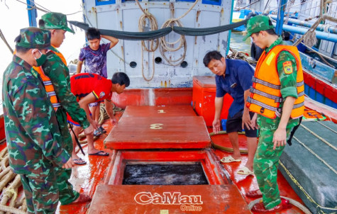 Bắt giữ hơn 16.000 lít dầu lậu trên biển