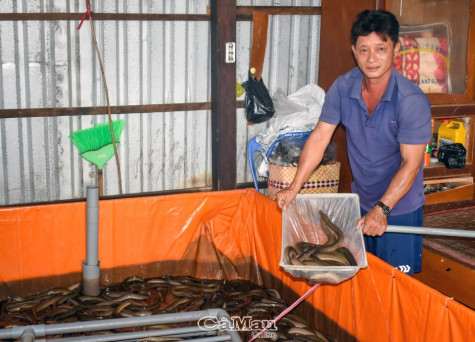 Tạo việc làm, thêm thu nhập