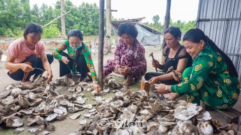 Thêm thu nhập từ gia công vỏ hàu