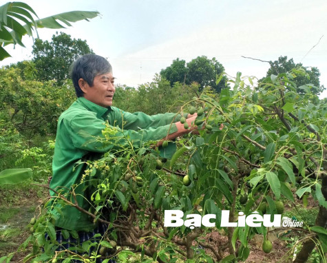 Những mô hình giảm nghèo hiệu quả của TP. Bạc Liêu