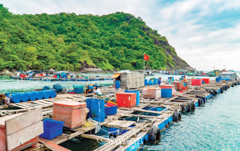 Bình yên trên đảo tiền tiêu