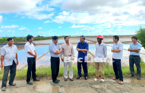 Nặng lòng với đất mặn