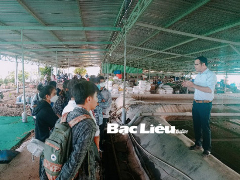 Trường cao đẳng Kinh tế - Kỹ thuật Bạc Liêu: Tư vấn, hướng nghiệp cho trên 100 học viên