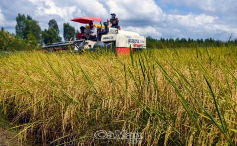 Thới Bình nỗ lực vươn lên