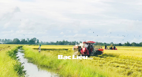 Huyện Vĩnh Lợi: Quyết tâm thực hiện hiệu quả các chỉ tiêu, nhiệm vụ đề ra