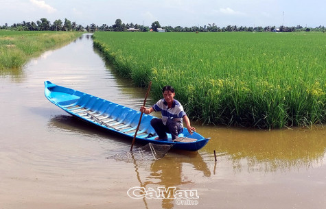 Dự án thủy lợi các tiểu vùng đáp ứng nhu cầu sản xuất