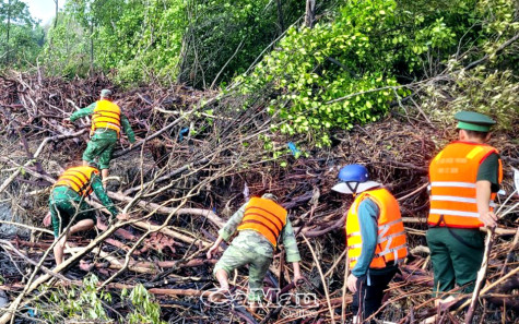 Khẩn trương tìm kiếm cán bộ Viện Thủy lợi bị rơi xuống biển