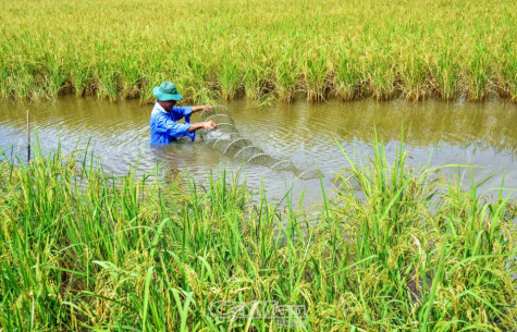 Ưu tiên nguồn lực xây dựng huyện nông thôn mới