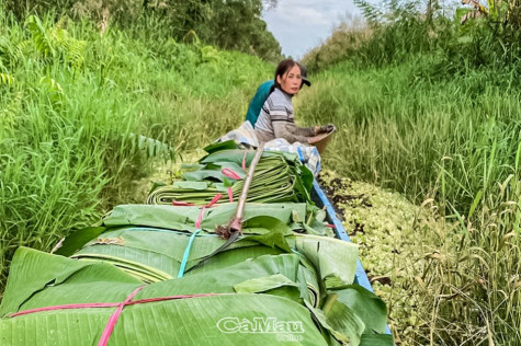 Ổn định cuộc sống từ nhiều nguồn