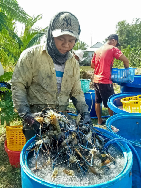 Một năm vượt khó đi lên