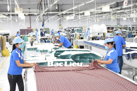 Đẩy mạnh tư vấn,  giới thiệu việc làm