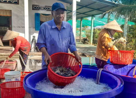 Nâng chất phong trào sản xuất giỏi