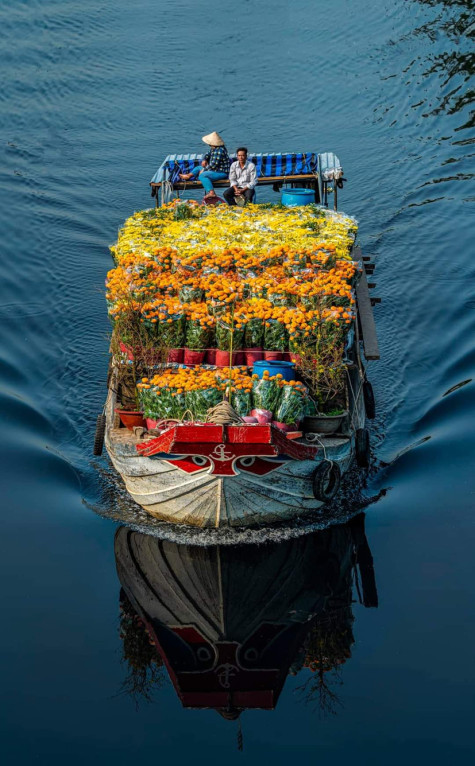 Hóng Tết