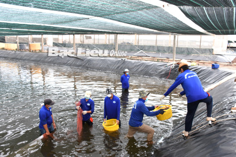 Tăng trưởng kinh tế năm 2023: Ưu tiên cho các đột phá chiến lược