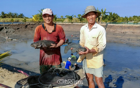 Hơn 470 hộ nông dân thu nhập 1 tỷ đồng trở lên