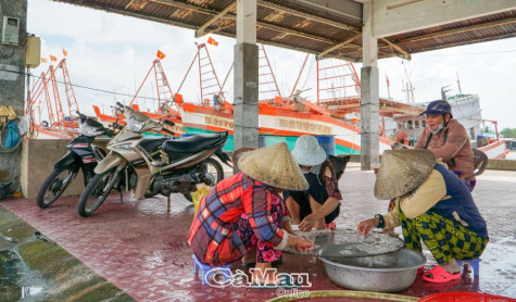 Khơi thông điểm nghẽn kinh tế biển