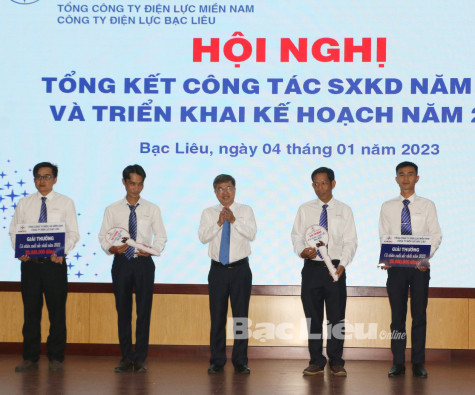 Công ty Điện lực tỉnh triển khai kế hoạch năm 2023