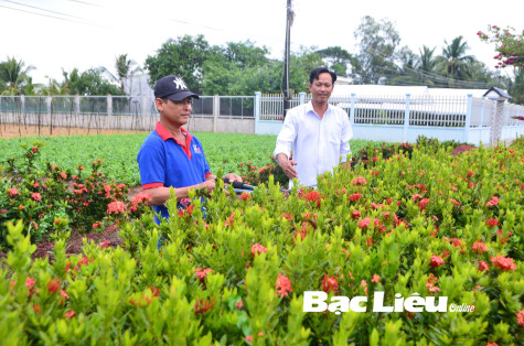 Bí thư Chi bộ hết lòng vì phum sóc