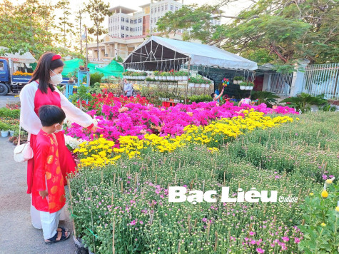 Phố đã vào xuân