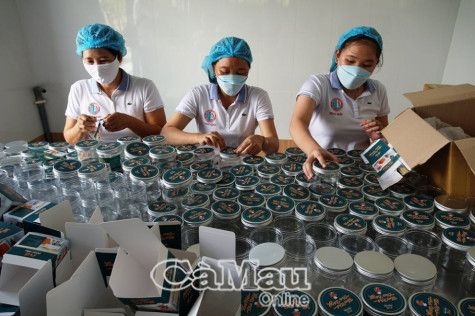 Kim ngạch xuất khẩu đạt hơn 1.300 triệu USD