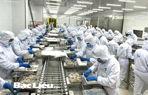 Bạc Liêu: Quyết tâm đạt 1 tỷ USD từ con tôm xuất khẩu