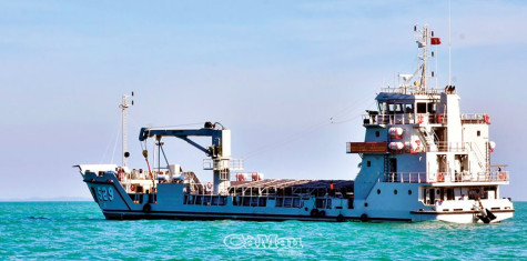 Tự hào tàu 529