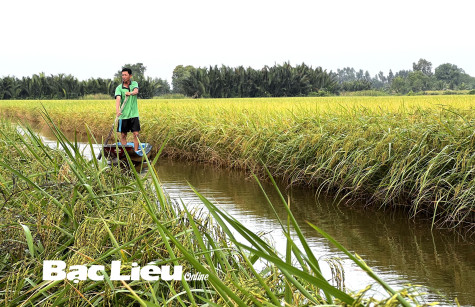 Ngành Nông nghiệp Bạc Liêu với mục tiêu duy trì đà tăng trưởng