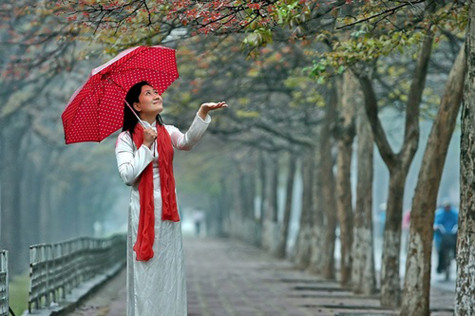 “Bữa ấy mưa xuân phơi phới bay”