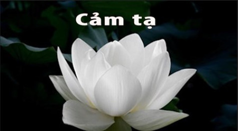 CẢM TẠ