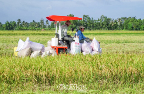 Bắt tay vào vụ mới