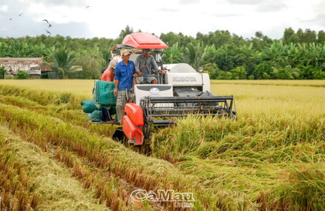 Ðổi mới, hiện đại để đáp ứng thị trường