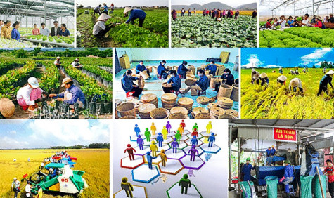 Tiếp tục đổi mới, phát triển và nâng cao hiệu quả kinh tế tập thể