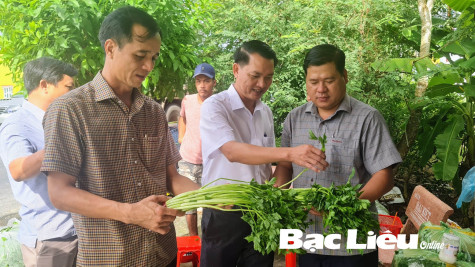 Đưa màu xuống ruộng, phá thế độc canh cây lúa