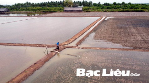 Bấp bênh đời muối