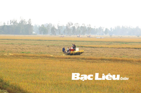 Đóng góp ý kiến Luật Đất đai (sửa đổi): Cần ngăn ngừa hành vi thao túng giá đất