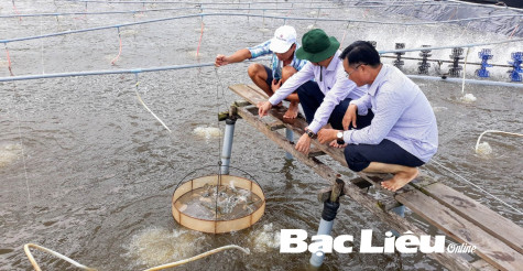 Đẩy nhanh tiến độ cấp mã số cơ sở nuôi trồng thủy sản