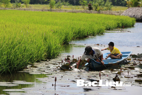 Tiếp tục đóng góp về Luật Đất đai: Hoàn thiện quy định về công nhận quyền đối với hộ gia đình, cá nhân không có giấy tờ về quyền sử dụng đất