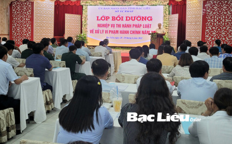 Quy định mới xử phạt vi phạm hành chính trong lĩnh vực văn hóa và quảng cáo