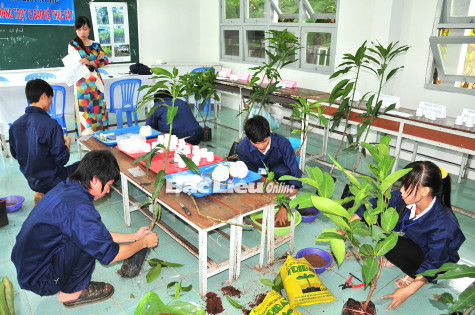 Phát triển thị trường lao động theo hướng hiện đại