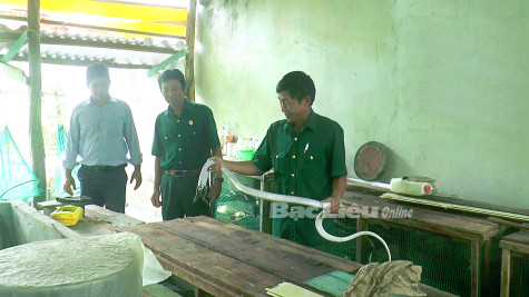 Ông Đỗ Hoàng Hôn: Tăng thu nhập từ nuôi rắn hổ hèo