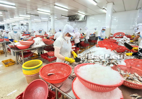 Nỗi lo bệnh nghề nghiệp