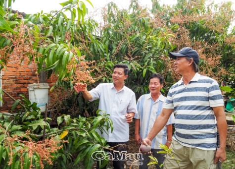 Hoà Thành không còn hội viên nông dân nghèo