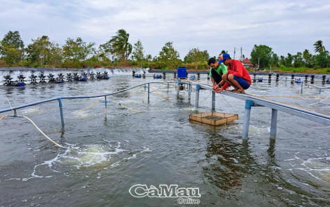 Hội quán Ðồng Tiến - Nơi chia sẻ kinh nghiệm nuôi tôm