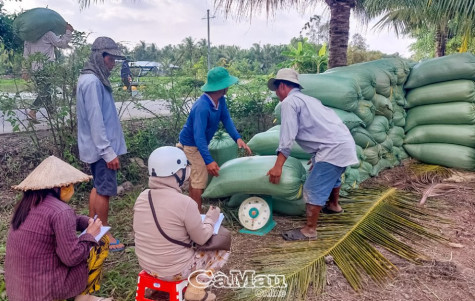 Hài hoà và trách nhiệm trong liên kết sản xuất