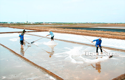 Huyện Đông Hải: Tiếp tục thi đua thực hiện thắng lợi Nghị quyết 04