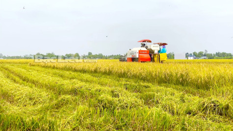 Sơ kết nửa nhiệm kỳ Đại hội Đảng bộ các cấp: Tiền đề cho tăng tốc thành công trên chặng đường về đích