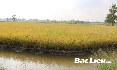 Đóng góp Luật Đất đai (sửa đổi): Quan tâm quyền sở hữu đất đai của kiều bào và điều kiện chuyển đổi đất nông nghiệp