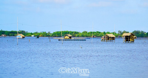 Hồi sinh “biển hồ” Cà Mau